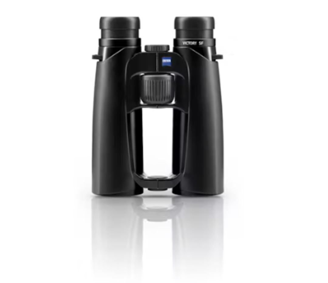 Zeiss Victory SF Binos 10x42 image 0